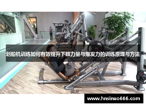 划船机训练如何有效提升下肢力量与爆发力的训练原理与方法